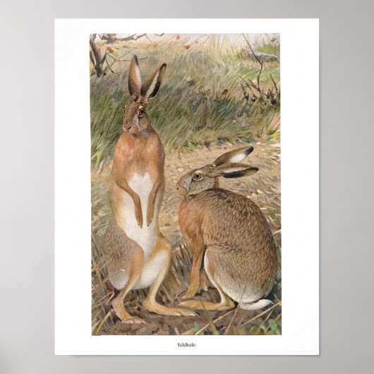 Poster Lapins dans le champ Imprimer (Devant)