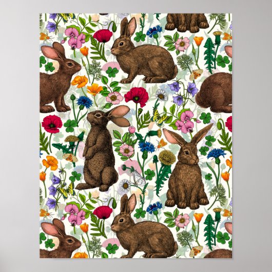 Poster Lapins et fleur sauvage (Devant)