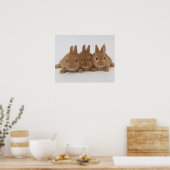 Poster Lapins.Nains-Pays-Bas. (Cuisine)