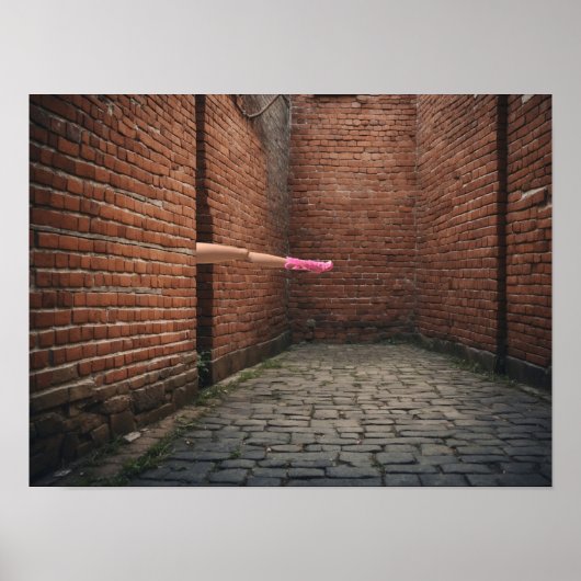 Poster L'apparence d'une seule longue jambe (Devant)