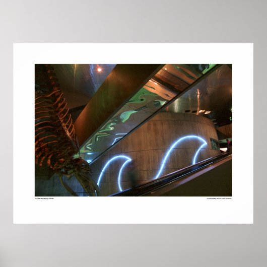 Poster L'Aquarium de Baltimore (Devant)