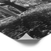 Poster L'Arbour de la nature (Coin)