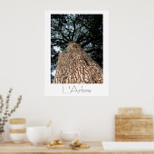 Poster L'Arbre (Cuisine)