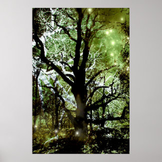 Poster L'Arbre À Fées