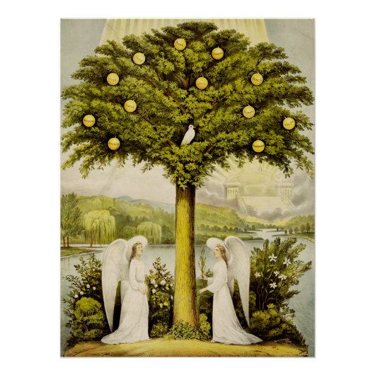 Poster L'arbre de vie (Devant)