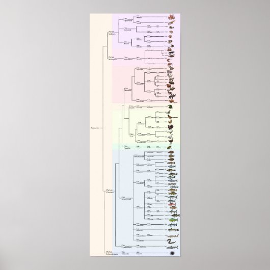 Poster L'arbre du yum : Animalia Print (Devant)