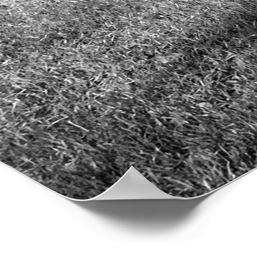 Poster L'arbre et le lampadaire étaient amis (Coin)