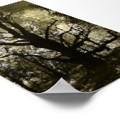 Poster L'arbre hanté (Coin)