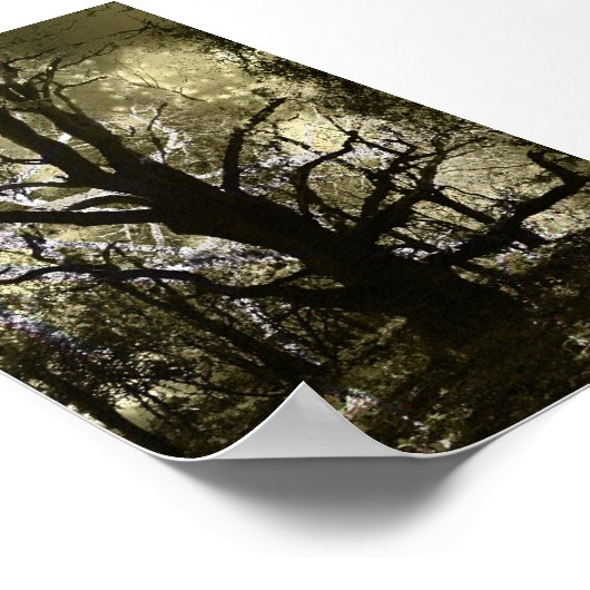 Poster L'arbre hanté (Coin)