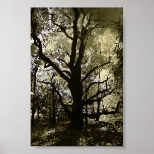 Poster L'arbre hanté