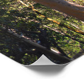 Poster L'arbre hanté..... (Coin)