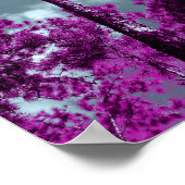 Poster L'arbre pourpre (Coin)