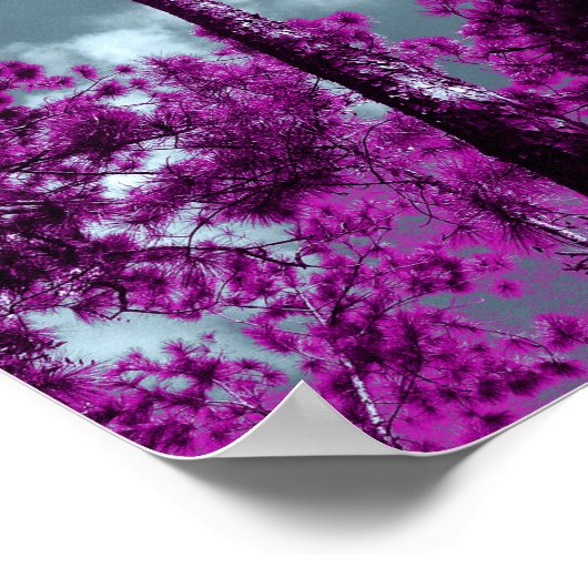 Poster L'arbre pourpre (Coin)