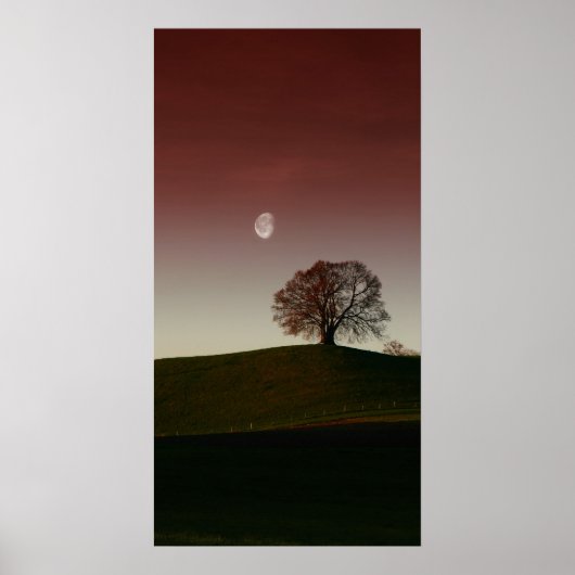 Poster L'arbre solitaire et la lune pâle (Devant)