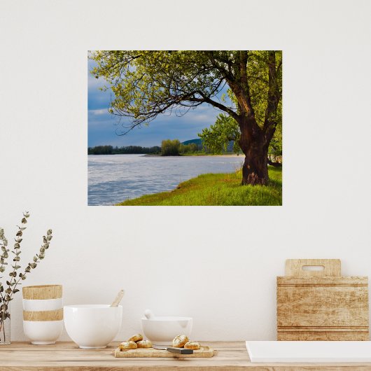 Poster L'Arbre Sur La Rive (Cuisine)