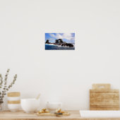 Poster L'arc de Darwin dans les îles Galapagos (Cuisine)