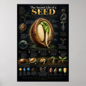 Poster L'Architecture Secrète de la Germination (Devant)