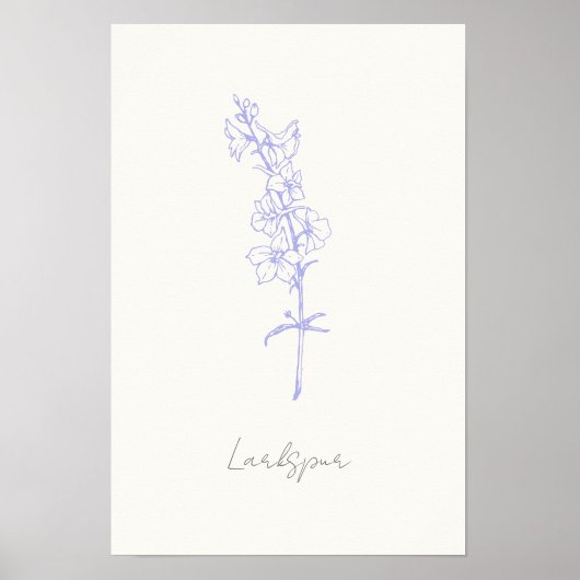 Poster Larkspur Violet Floral Main dessinée Art