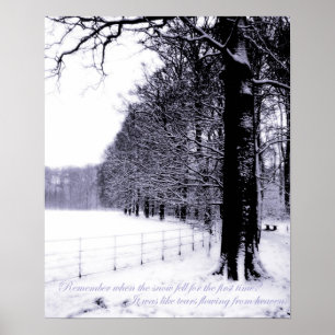 Poster Larmes congelées