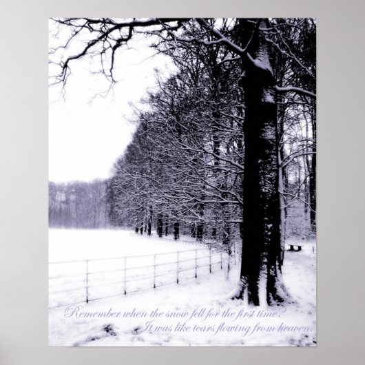 Poster Larmes congelées (Devant)