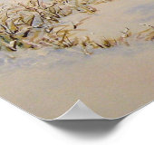 Poster Larmes du matin (Coin)