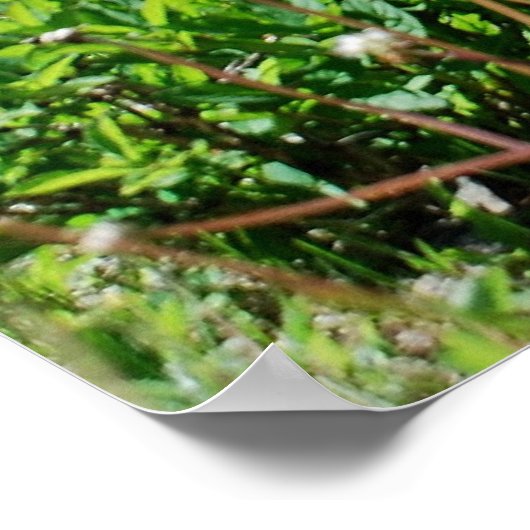 Poster Larry Fiero (Coin)