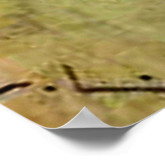 Poster Larsson - Noël matin (Coin)