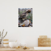 Poster L'art de Falconry : Red Tail Hawk sur Pheasant 2 (Cuisine)
