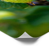 Poster L'art de la nature (Coin)