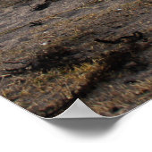 Poster l'art de la photo de la plage (Coin)