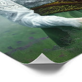 Poster L'art de l'Imaginaire Druid Queen (Coin)