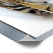 Poster L'art des amateurs de tigres (Coin)