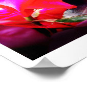 Poster L'art des esprits roses (Coin)