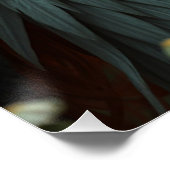 Poster L'art des fées de dragon (Coin)