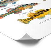 Poster L'art des fléchettes nord-américaines (Coin)