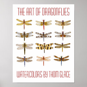 Poster L'Art Des libellules