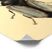 Poster L'art du dendroctone du pervers (Coin)