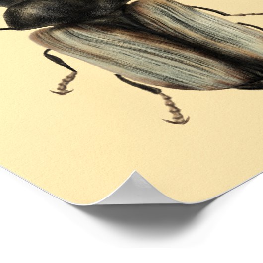 Poster L'art du dendroctone du pervers (Coin)