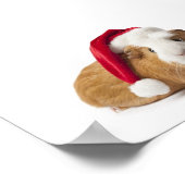 Poster L'art du porc en Guinée (Coin)