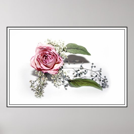 Poster L'art du vieillissement gracieusement - Une rose r (Devant)