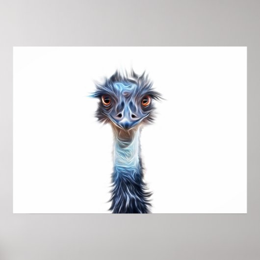 Poster L'Art Emu Lumineux (Devant)