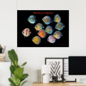 Poster L'art sauvage discute de la pêche (Bureau à domicile)