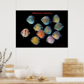 Poster L'art sauvage discute de la pêche (Cuisine)