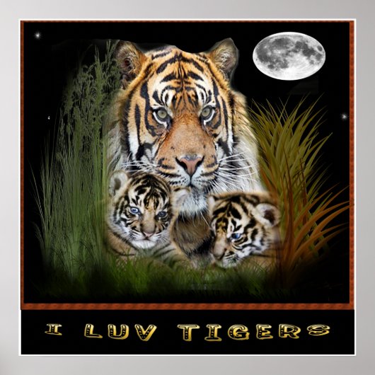 Poster L'art tigre (Devant)