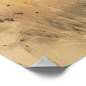 Poster L'art vintage du bison (Coin)