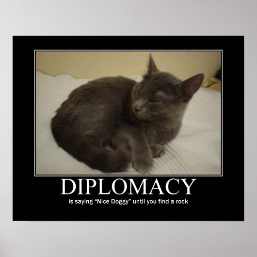 Poster L'artisanat de chats diplomatique (Devant)