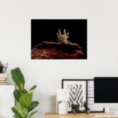 Poster larve de triton en berceau (Bureau à domicile)