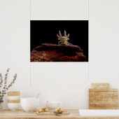 Poster larve de triton en berceau (Cuisine)