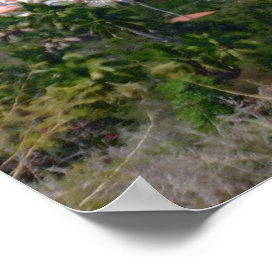 POSTER LAS GATAS (Coin)