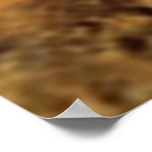 Poster Lascaux Bison (Coin)